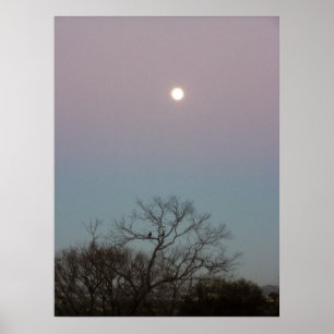 Póster poster de luna de amanecer