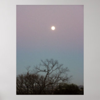 Póster poster de luna de amanecer