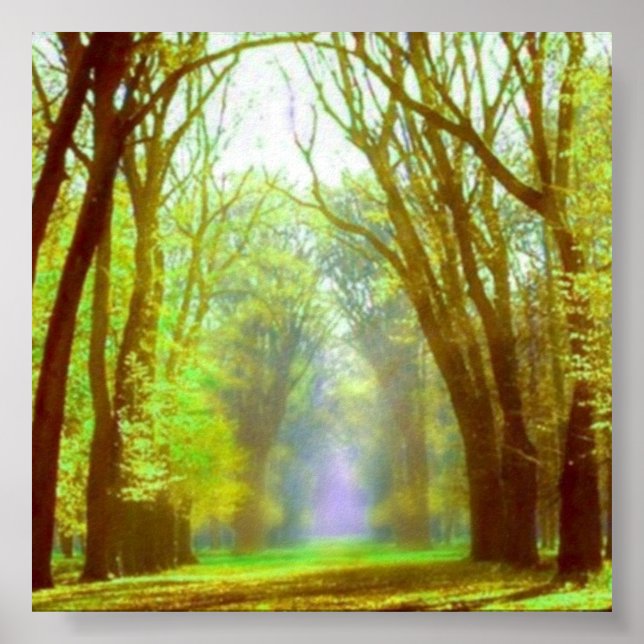 Póster Poster de luz de primavera (Frente)