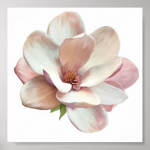 Póster Poster de magnolia del sur rosado