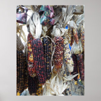 Póster Poster de maíz indio