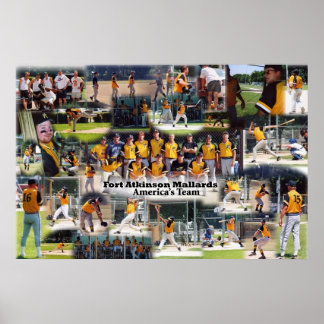 Póster Poster de Mallards Collage