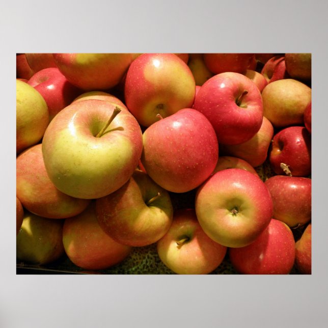 Póster Poster de manzanas de Pennsylvania, 30,67" X 23" (Frente)