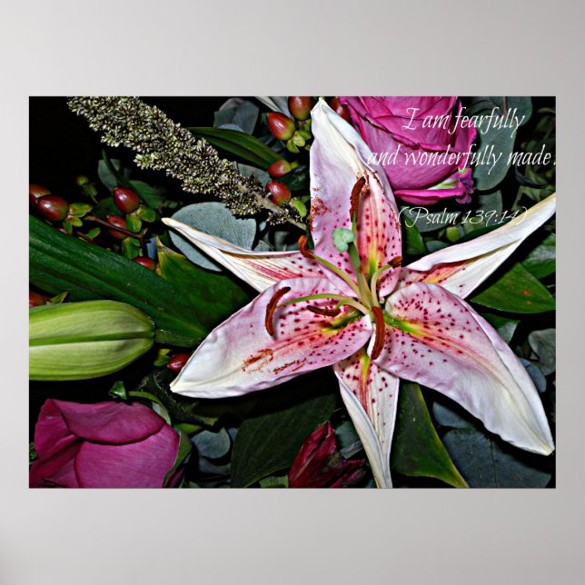 Póster Poster de maravilla (Frente)