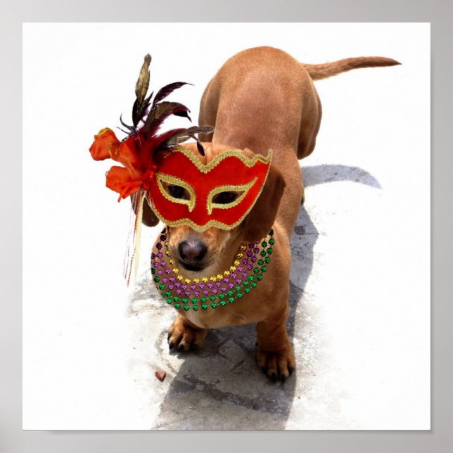 Póster Poster de Mardi Gras Dachshund (Frente)