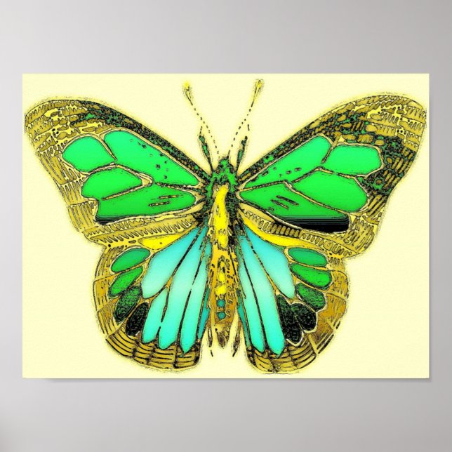 Póster Poster de mariposa (Frente)
