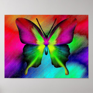 Póster Poster de mariposa
