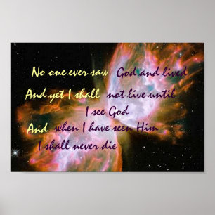 Póster Poster de mariposa