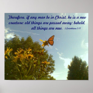 Póster Poster de mariposa