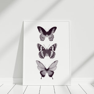 Póster Poster de mariposa