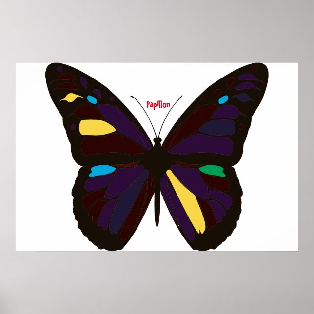 Póster Poster de mariposa (Frente)