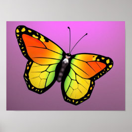 Póster Poster de mariposa colorida