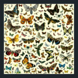 Póster Poster de mariposa colosal<br><div class="desc">El color de fondo es cambiable. Lo convierten en blanco o en un color pastel claro para crear un efecto agradable.</div>