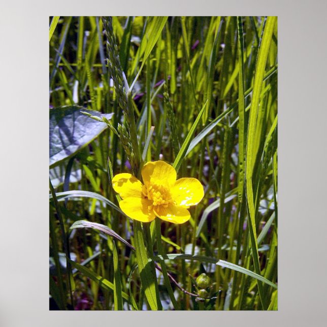 Póster Poster de mariposa de Cheup (Frente)