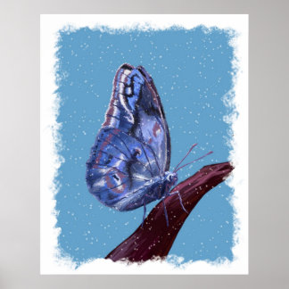 Póster Poster de mariposa de nieve