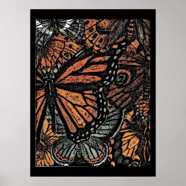 Póster Poster de mariposa monarca (Frente)
