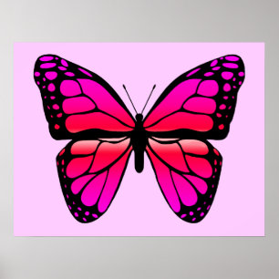 Póster Poster de mariposa rosa