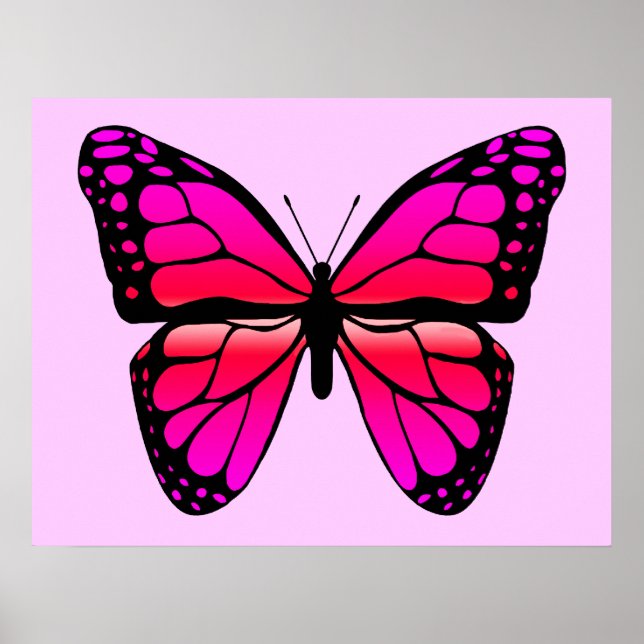 Póster Poster de mariposa rosa (Frente)