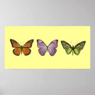 Póster Poster de mariposa triple horizontal