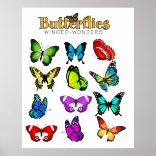 Póster Poster de mariposas
