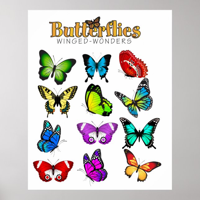 Póster Poster de mariposas (Frente)