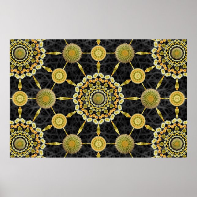 Póster Poster de matriz de cactus de barril 1 (Frente)