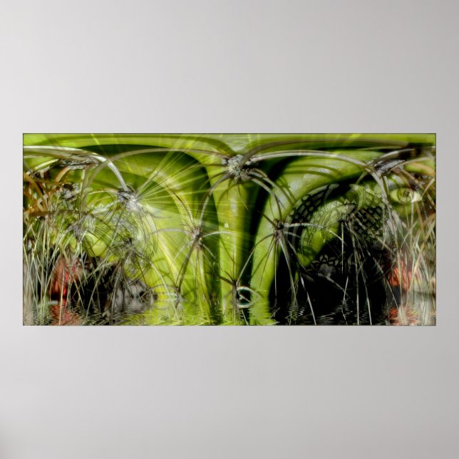 Póster Poster de Medicina Tribal (Frente)