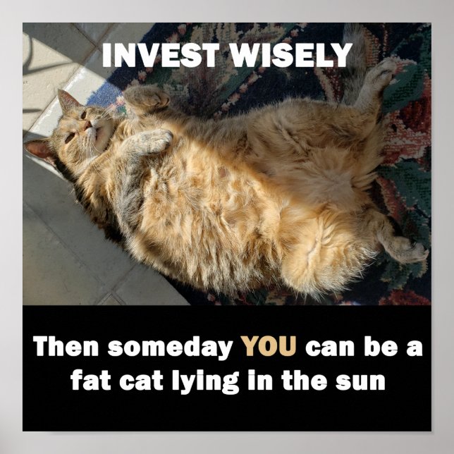 Póster Poster de meme inteligente de la inversión en gato (Frente)