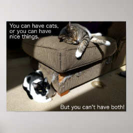 Póster Poster de memes sobre gatos