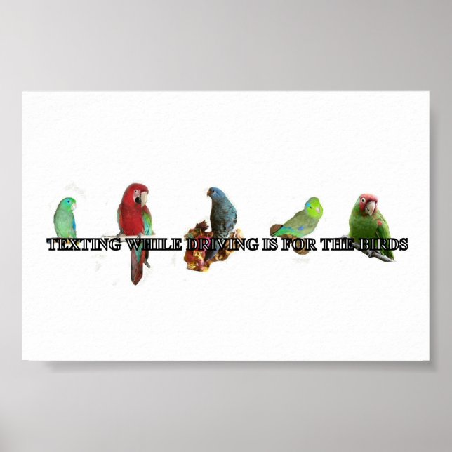 Póster Poster de mensajes de texto mientras conduce (Frente)