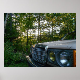 Póster Poster de Mercedes W123