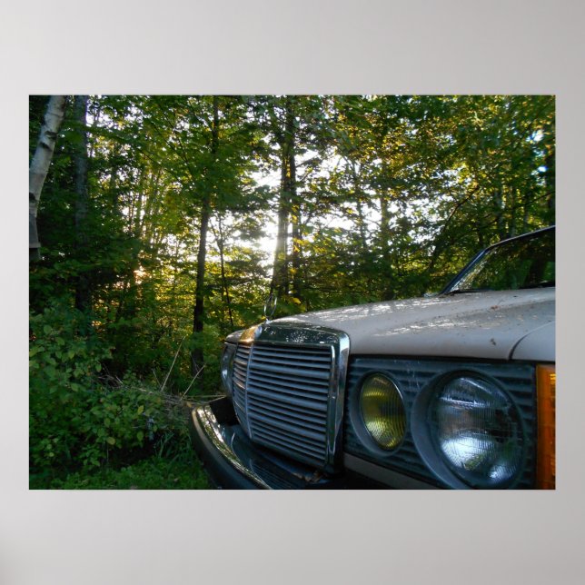 Póster Poster de Mercedes W123 (Frente)