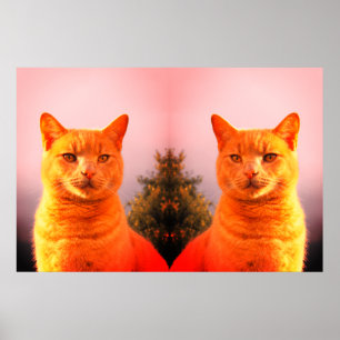 Póster Poster de Merlin y Gatos gemelos de ángel