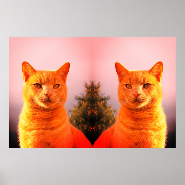 Póster Poster de Merlin y Gatos gemelos de ángel (Frente)