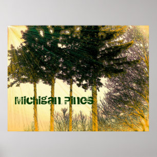 Póster Poster de Michigan Pines