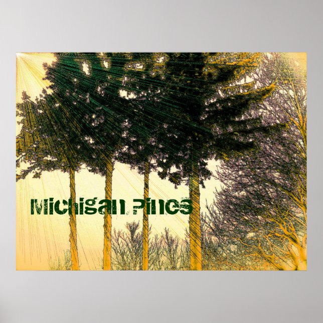 Póster Poster de Michigan Pines (Frente)
