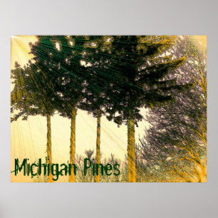 Póster Poster de Michigan Pines