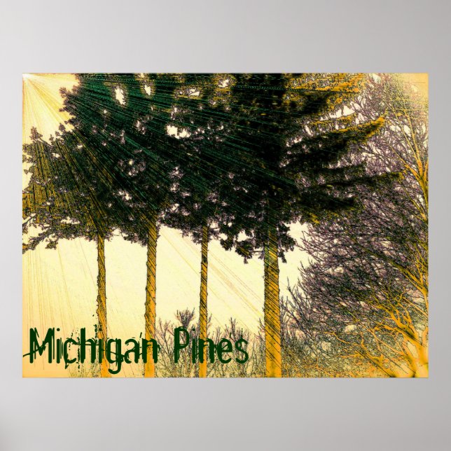 Póster Poster de Michigan Pines (Frente)