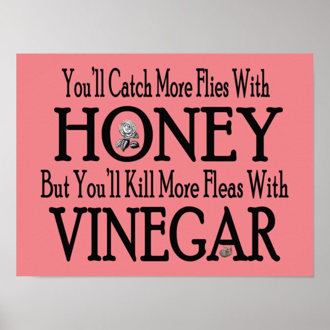 Póster Poster de miel y vinagre (Frente)
