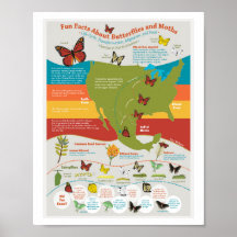 Poster de migración de mariposa