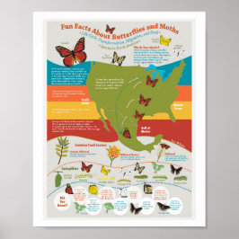 Póster Poster de migración de mariposa