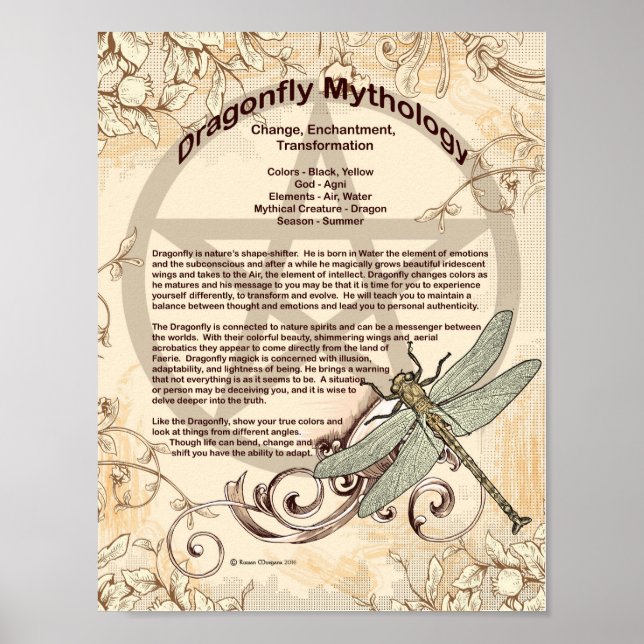 Póster Poster DE MITOLOGÍA DE DRAGONFLY (Frente)