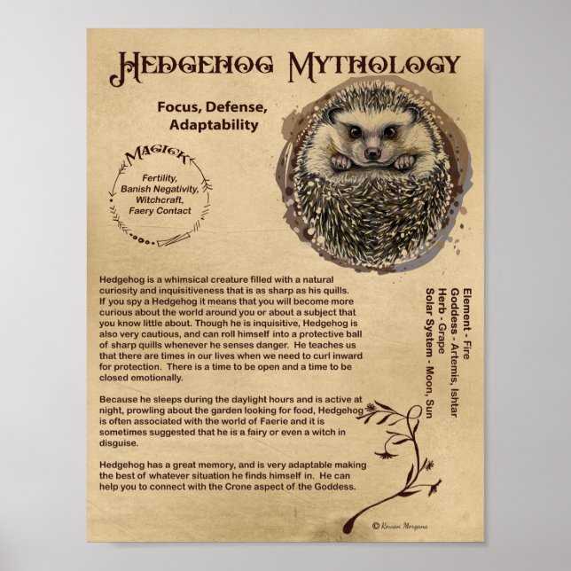 Póster Poster DE MITOLOGÍA DE HEDGEHOG (Frente)