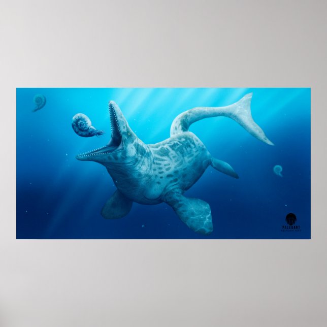 Póster Poster de Mosasaurus (Frente)