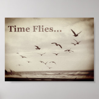 Póster Poster de moscas de tiempo