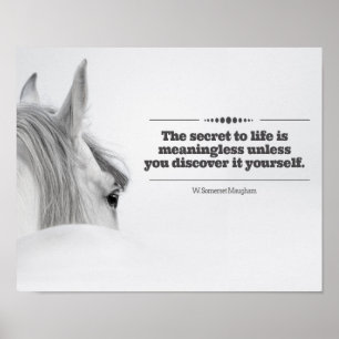 Póster Poster de motivación "el secreto a la vida… "