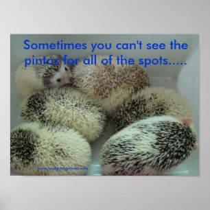 Póster Poster de muchos pintos