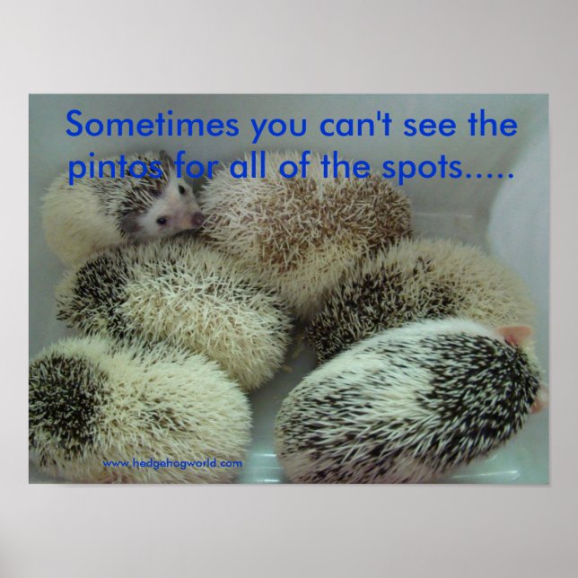 Póster Poster de muchos pintos (Frente)