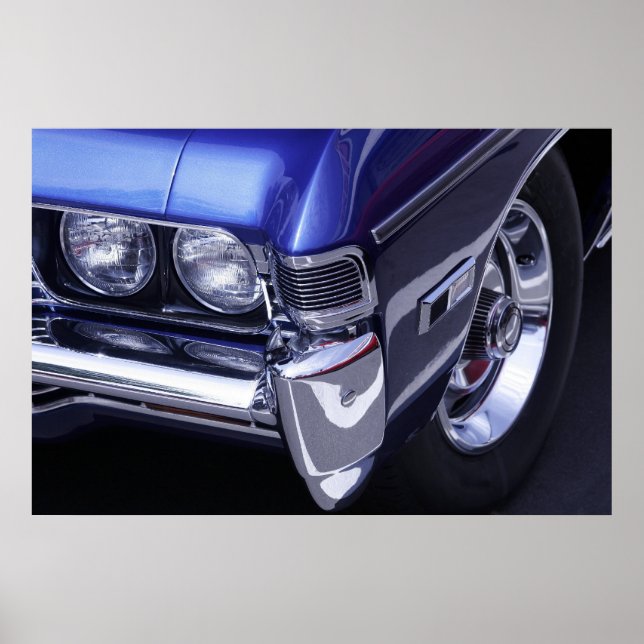 Póster Poster de musculatura (Frente)