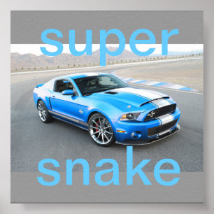 Póster poster de mustang